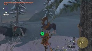 The Legend of Zelda Tears of the Kingdom : как фармить деньги