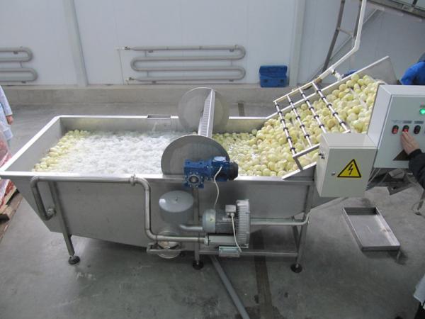 Ванна замачиватель овощей до 8 т/ч смотреть онлайн