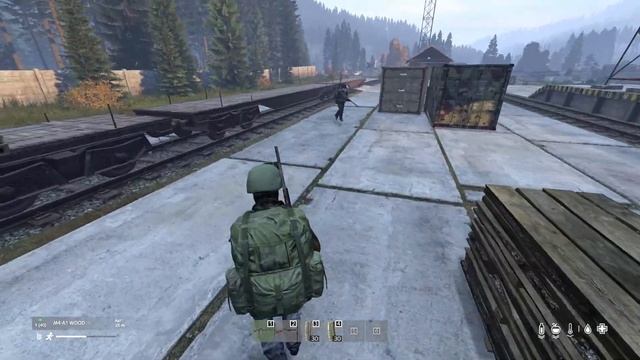 Только спокойствие - DayZ смотреть онлайн