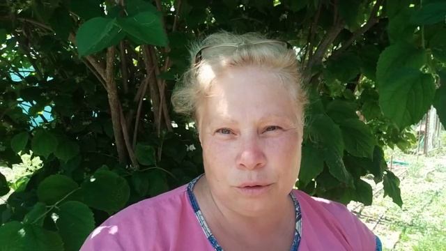 #411ЛЕТНЯЯ КУХНЯ ГОТОВА/ПЕРВЫЕ ЗАГОТОВКИ/ЖИЗНЬ НА ЮГЕ смотреть онлайн