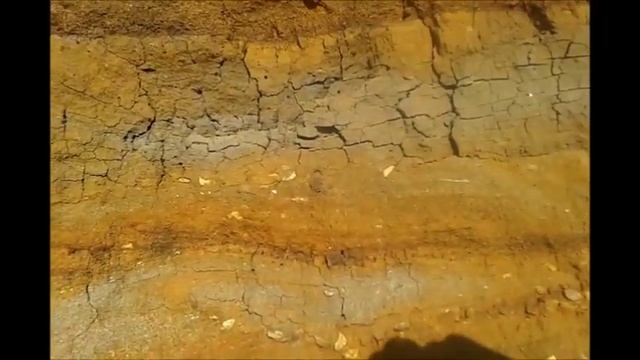 Осадочные пласты смотреть онлайн