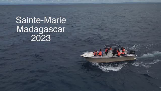 MADAGASCAR 2023. WHALES. Drone pilot and director: Konstantin Zubkov, смотреть онлайн