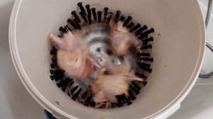 Перосъёмная машина ПМ-2М