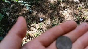 Поиск монет без металлоискателя 88