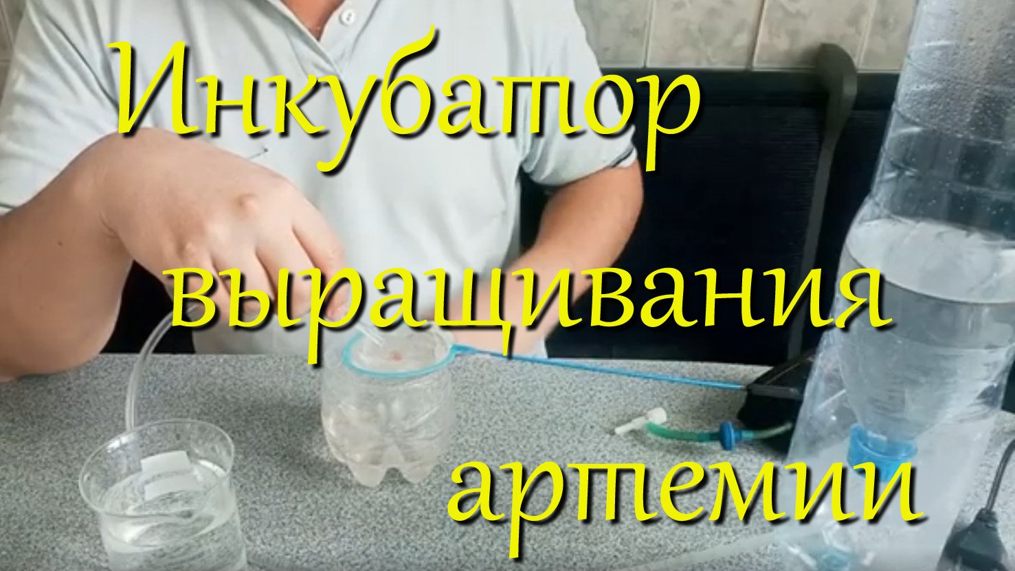 4 варианта инкубатора для разведения артемии! Чистая науплия артемии без шелухи для мальков. смотреть онлайн