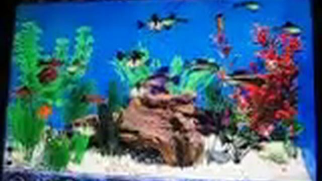 Fish Tycoon смотреть онлайн