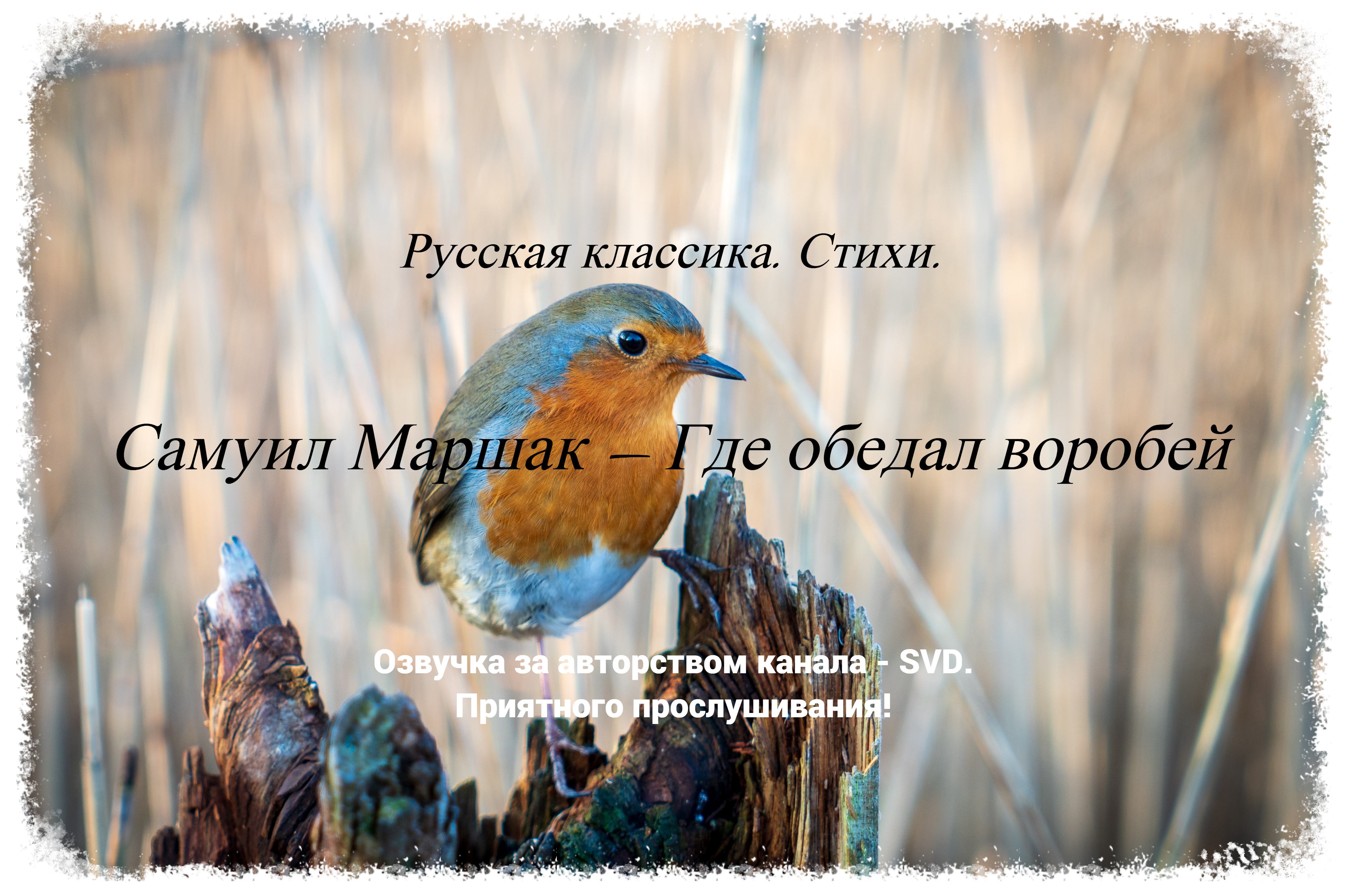 Русская классика. Стихи. — Самуил Маршак — Где обедал воробей ? смотреть онлайн