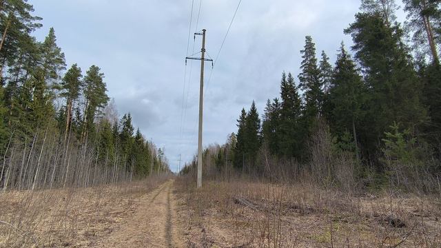 ЛЭП. ч.1. Апрель 2024 смотреть онлайн