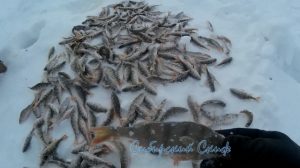 Весенняя рыбалка на окуня. Озеро Сартлан.