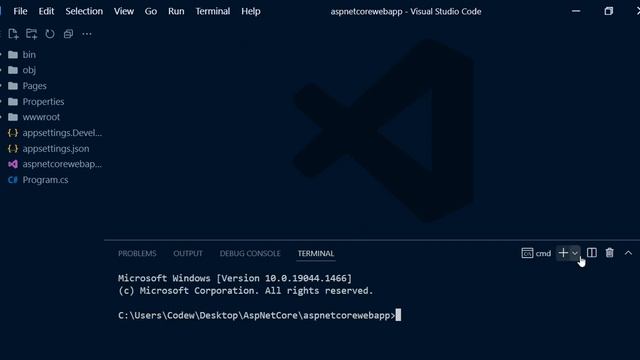 Learn ASP.NET Core | Visual Studio Code Setup смотреть онлайн