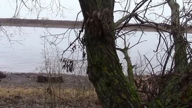 Коп Волховдыр 2015. Петровский кошель, часть 1ая. смотреть онлайн