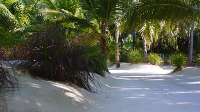 Отель Finolhu Baa Atoll Maldives