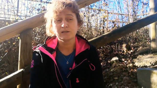 Явление ангелов и появление белой лошади смотреть онлайн