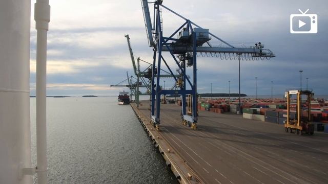 Мор и язва, Едем в Магадан, Поганая молодежь __ Галопом по Европам #915 смотреть онлайн