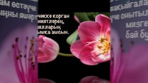 Туган көнең белән! / С днём рождения! (на татарском языке)