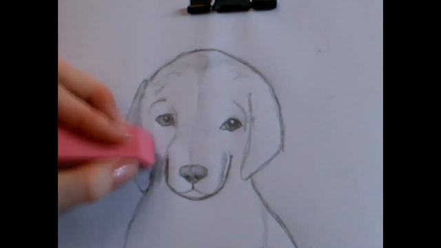 УРОВЕНЬ:1 Как НАРИСОВАТЬ ЩЕНКА? смотреть онлайн