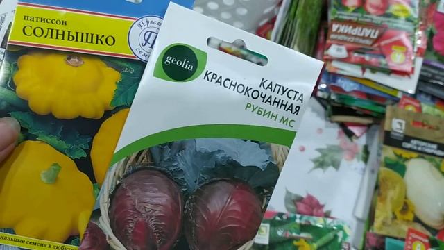 Продолжение болталки под перебирание запаса моих семян) Чего мне не хватает?/Часть 2 смотреть онлайн