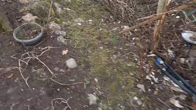 Цветок морозник не товарищ подснежнику смотреть онлайн