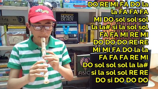 Shop - Legend of Zelda Ocarina of time en flauta dulce con Notas смотреть онлайн