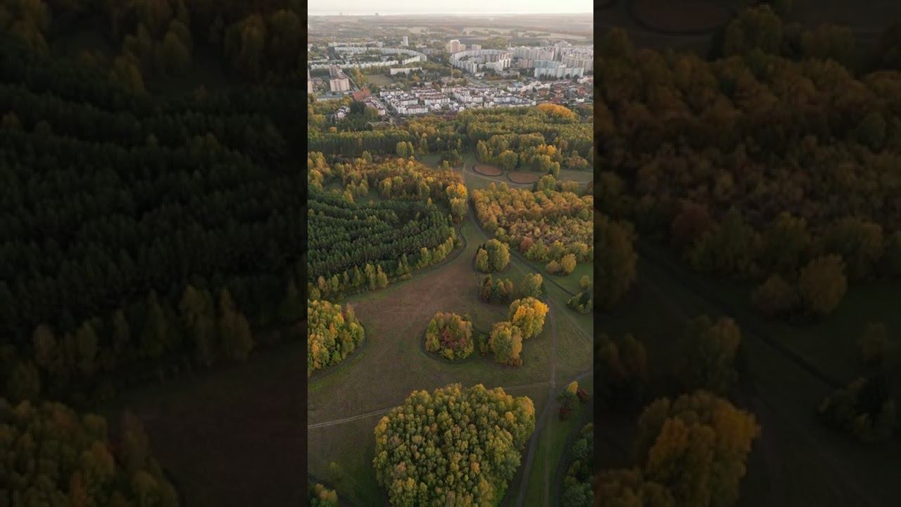 Золотая осень