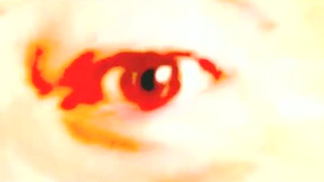 рептилии. смотреть онлайн