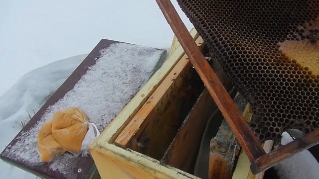 Зимний осмотр пчел 2022 Первая потеря смотреть онлайн