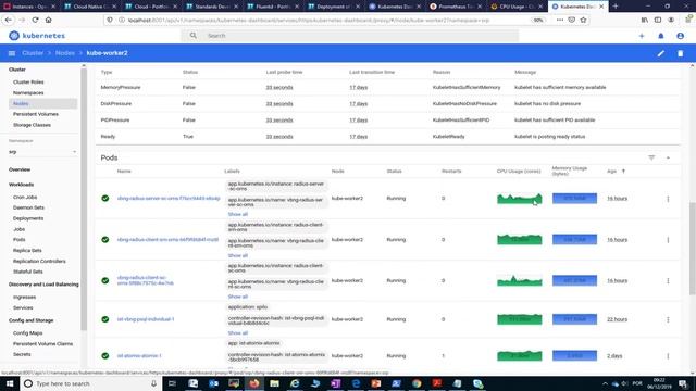 activePresenter-k8s-metrics-server-and-other-tools смотреть онлайн