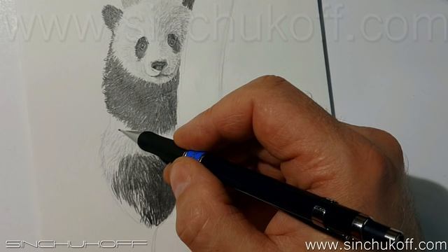 Рисуем панду карандашом смотреть онлайн