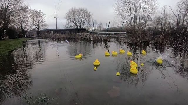 Bouncing arrows and Duck hunting (not) смотреть онлайн