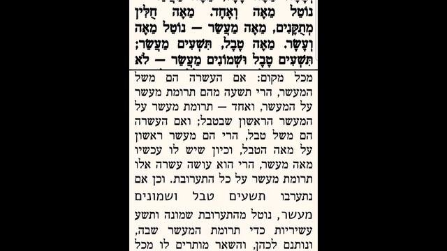 ЕЖЕДНЕВНЫЕ УРОКИ МИШНЫ c р. Йосефом Рафаэли. Урок от 29.07.2022 смотреть онлайн