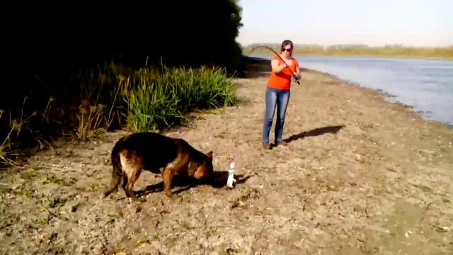 рыбалка смотреть онлайн