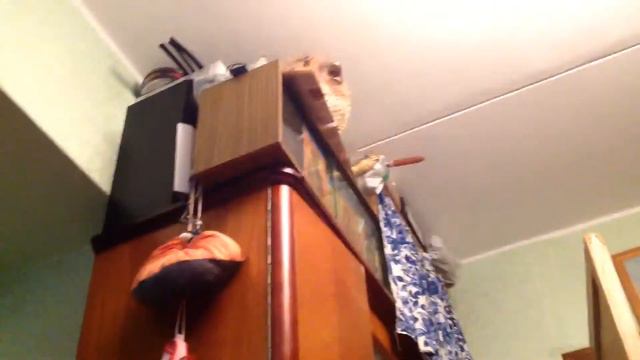 Сие благодатное видео мое!!! (ПОСЛАНИЕ ОТ СВЯТОГО ДУХА) смотреть онлайн