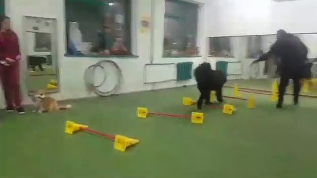 Вижу цель не вижу преград! смотреть онлайн