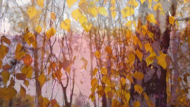 Yспокаивающая музыка для нервов ? лечебная музыка для сердца и сосудов, релакс, музыка для души смотреть онлайн