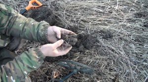 Коп!Поиск старых артефактов в заброшеной деревне,!Нашли старые монеты!