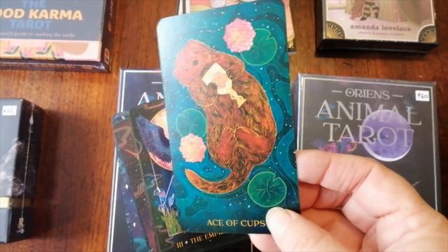 10 New Decks & 5 Books Arrived Along With 2 Boxes of Spiritual Goodness :) смотреть онлайн