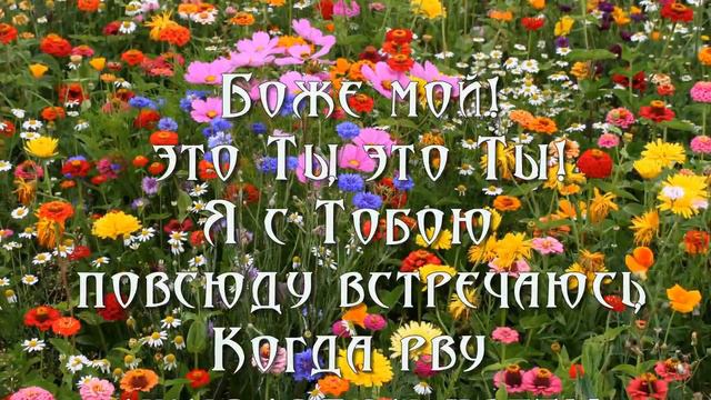 Как прекрасно все то что Твое смотреть онлайн