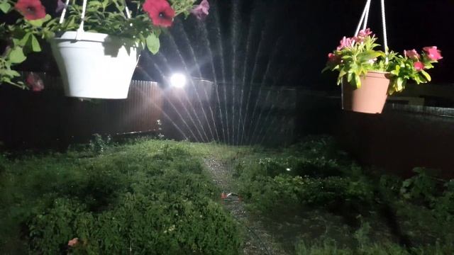 Ночной полив огорода