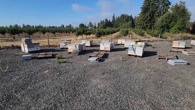 11 августа с утра за два с половиной часа сделали 120 отводков смотреть онлайн