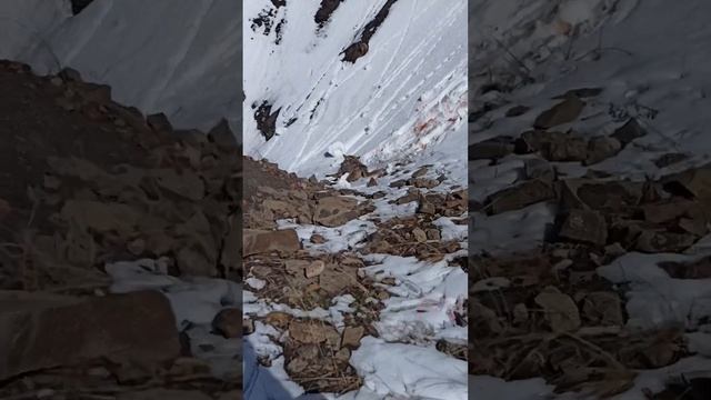 15 километров пешком за подранком! Али добирал волка в горах Дагестана. смотреть онлайн