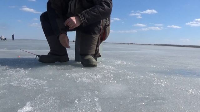 Удачное закрытие сезона твердой воды 2019-2020. Озеро Шаблиш 11 апреля 2020 года. Супер рыбалка!
