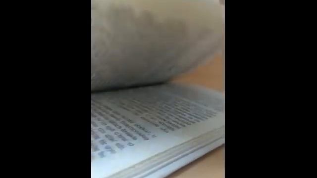 Alisher Navoiy   Saddi Iskandariy