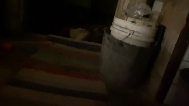 Новый сторож.?Раны заживают.Ждет, когда я лягу.?Мамин котик.Ричард плачет.? смотреть онлайн