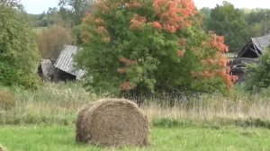 Дмитрий Мусихин Путешествие по чужбине  поиск золота