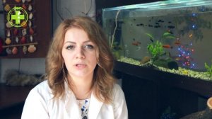 Птица Сломала Крыло, Что Делать // Травма Крыла у Попугаев // Сеть Ветклиники БИО-ВЕТ