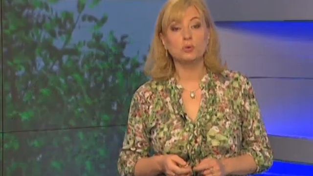 Підготовка до ЗНО. Урок № 17 смотреть онлайн