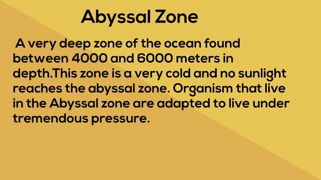 Abyssal Zone Meaning ( with pictures ) смотреть онлайн