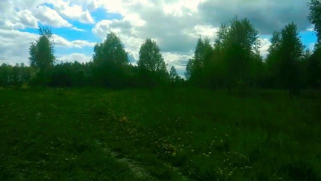 Большая прогулка по лесам Тульской области/лоси смотреть онлайн