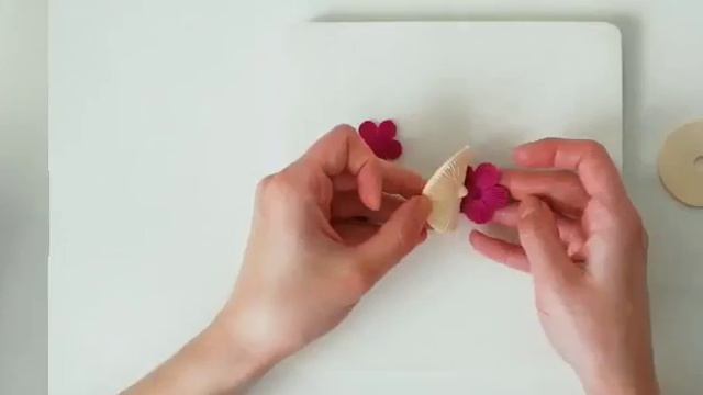 Торт Фиалка смотреть онлайн