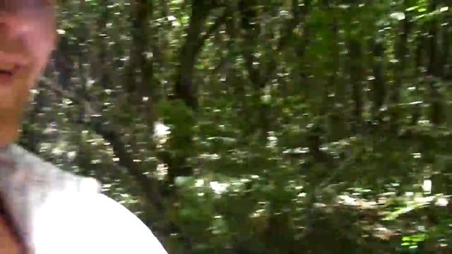 леса на юге черное море смотреть онлайн